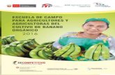 ESCUELA DE CAMPO DE AGRICULTORES Y AGRICULTORAS 1 · 2020. 1. 3. · Las Escuelas de Campo de Banano Orgánico (ECAs) tienen por objetivo mejorar la capacidad de los agricultores