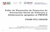 Taller de Planeación de Proyectos de Prevención Social de ...Taller de Planeación de Proyectos de Prevención Social de Violencia y Delincuencia apegados al PNPSVD USAID-PCC/SEGOB