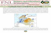 Boletín Agroclimático · 2021. 4. 21. · Boletín Agroclimático De Leguminosas MARZO 2021 . 2 ... En Atlántico, Córdoba, Sucre y el sur del Cesar se esperan aumentos en las
