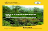 Cuenta Integrada del Bosque (CIB) - GitHub Pagesseeagt.github.io/doc/CIB-folleto.pdf · 2017. 1. 31. · Cuenta Integrada del Bosque (CIB). Sistema de Contabilidad Ambiental y Económica