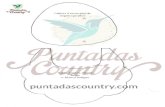 FRP - Puntadas Countrypuntadascountry.com/.../2015/05/molde-papa-noel-country.pdf · 2016. 11. 6. · Hebilla 1 vez Bigote 2 veces Fleece beige o blanco antiguo Borla gorro 1 vez