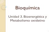 Unidad 3. Bioenergética y Metabolismo oxidativocaelum.ucv.ve/bitstream/123456789/6103/3/UNIDAD 3a.pdfUnidad 3. Bioenergética y Metabolismo oxidativo Describir las transformaciones,