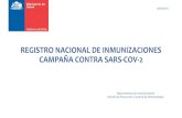REGISTRO NACIONAL DE INMUNIZACIONES CAMPAÑA ......“Inmunizaciones”, luego elegir “Vacunas Campaña” y posteriormente “CampañaSARS-CoV-2”(según el nombre del Laboratorio