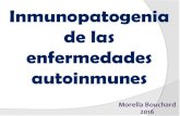 Inmunopatogenia de las enfermedades autoinmunes · 2016. 6. 8. · Tolerancia Periférica: Ganglios, Bazo y MALT . LINFOCITOS T TOLERANCIA CENTRAL Deleción clonal Anergia clonal