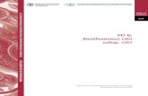 PD 6: Xanthomonas citri subsp. citri · 2021. 2. 9. · PD 6 Protocolos de diagnóstico para plagas reglamentadas PD 6-2 Convención Internacional de Protección Fitosanitaria 1.