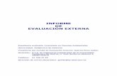 INFORME DE EVALUACIÓN EXTERNA · 2004. 5. 25. · Programa de Evaluación Institucional. Informe de Evaluación Externa. 1. Introducción ... de Ingeniería Química, en el Departamento