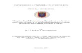 UNIVERSIDAD AUTONOMA DE NUEVO LEONeprints.uanl.mx/20972/1/1020160151.pdf · 2021. 3. 19. · 2007. Estudio Anatómico de los arcos arteriales palmares: diámetro y presentación.