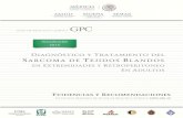 GPC - Juntos Contra el Cáncerjuntoscontraelcancer.mx/jcc/wp-content/uploads/2017/06/... · 2020. 2. 2. · Centro Nacional de Excelencia Tecnológica en Salud ... declaran que no
