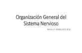 Organización General del Sistema Nervioso...Organización General del Sistema Nervioso Nelson D. Villalba M.D. M.Sc. o o Central Periférico o Central Periférico l o Sensitivo Motor