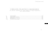 CIRUGÍA PLÁSTICA MAMARIA - Patricio Andrades · 2016. 3. 14. · - Los principios básicos de toda técnica quirúrgica son la resección cutá-nea, la resección glandular y la