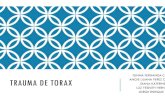 GINNA FERNANDA CABULO TRAUMA DE TORAX · 2014. 6. 16. · deformidad de la clavícula y se observa con facilidad en la radiografía del tórax. Las fracturas de clavícula representan
