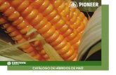 CATÁLOGO DE HÍBRIDOS DE MAÍZ - Corteva...cultivo de maíz requiere de resiembra, Pioneer Chile le entregará la semilla a mitad de precio para ser sembrada durante la misma temporada.