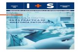 I + S · 1. Servicios de Anatomía Patológica del Hospital Universitario Arnau de Vilanova, y Hospital Universitario de Bellvitge, Universidades de Lleida y Barcelona, IRBLLEIDA,