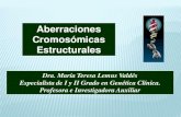 Aberraciones Cromosómicas Estructurales · aberraciones cromosómicas autosómicas Anormalidades anatómicas: varían de acuerdo con el cromosoma involucrado y la magnitud del segmento