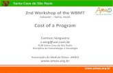 Cost of a Program - WBMT ·  Santa Casa de São Paulo  2nd Workshop of the WBMT Salvador – Bahia, Brazil Cost of a Program Carmen Vergueiro c.verg@uol.com.br