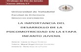 LA IMPORTANCIA DEL DESARROLLO DE LA PSICOMOTRICIDAD … · 2020. 1. 11. · La importancia del desarrollo de la psicomotricidad en la etapa infanto juvenil Laura de Miguel Gutiérrez