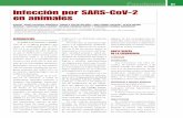 67 Infección por SARS-CoV-2 en animales - COLVEMAde especies animales para las que se encuentra información disponible sobre la infección natural o expe-rimental se presenta en