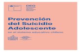 Prevención del Suicidio Adolescente · 2021. 6. 15. · espacios y rincones físicos y pedagógicos que el establecimiento educacional posee. 7 Prevención del Suicidio Adolescente