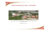 UNIVERSIDAD DEL TOLIMAadministrativos.ut.edu.co/images/universidad/plan... · 4 0. INTRODUCCIÓN En cumplimiento de los artículos 73 y 76 de la Ley 1474 de 2011, concordantes con