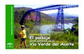 El paisaje Vía Verde del AceiteEn toda España hay más de 2.600 km de Vías Verdes, repartidas por todo el país y Andalucía es la comunidad donde hay más: 26 Vías Verdes, que