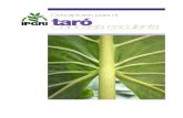 Descriptopres para el Taro` (Colocasia esculenta)