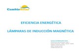 EFICIENCIA ENERGÉTICA LÁMPARAS DE INDUCCIÓN MAGNÉTICA · 2020. 6. 12. · EFICIENCIA ENERGÉTICA LÁMPARAS DE INDUCCIÓN MAGNÉTICA Camino Cerro de los Gamos,1. Edif. 1 Pozuelo