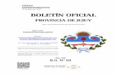 16 de Julio de 2021 BOLETÍN OFICIALboletinoficial.jujuy.gob.ar/.../Boletines/2021/81A-2021.pdfBOLETÍN OFICIAL Año CIV B.O. Nº 81 "2021: Año del Bicentenario del Día Grande de