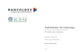 Habilidades de Liderazgo - Bancoldex · 2014. 10. 2. · Módulos Módulo 1. Liderazgo y desarrollo de personas Módulo 2. Trabajo en Equipo y Cooperación Módulo 3. Herramientas