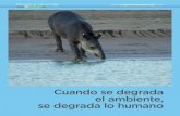 Cuando se degrada el ambiente, se degrada lo humano · 2019. 7. 14. · dencia del Foro de Ministros de Ambiente de América Latina y el Caribe y como fruto de ese trabajo, logra-mos
