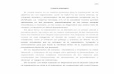 CONCLUSIONESvirtual.urbe.edu/tesispub/0105271/conclu.pdf · Edición Madrid:. Editorial Montalbán. Arias, F. (2006). El proyecto de investigación a la Metodología Científica.