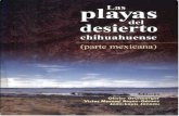 Las playas del desierto chihuahuense (parte mexicana ......Párrafos pequeños o figuras aisladas pueden reproducirse, dentro de lo estipulado en la Ley Federal del Derecho de Autor
