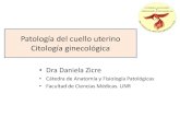 Patología del cuello uterino Citología ginecológica · 2021. 4. 27. · •El Papanicolaou es un método de screening cuyo objetivo es la detección precoz del cáncer de cuello