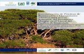 Proyecto Conservación y Uso Sostenible de la Biodiversidad en … · 2021. 4. 22. · la ordenación silvicultural, de un bosque, con valor de mercado o no, asegurando la conservación,