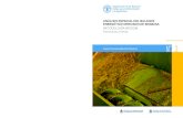 Provincia de la Pampa N˚3 N˚ 3 - FAO · 2021. 2. 9. · Cuadro 17 Consumo bioenergético del sector residencial y de la industria ladrillera. 46 Cuadro 18 Balance total por departamento