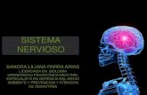 SISTEMA NERVIOSO · 2019. 9. 19. · Sistema nervioso Sistema nervioso central Ubicado dentro del cráneo y dentro de la columna. Revestido por las meninges, y cubierto por el Liquido