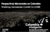 Perspectivas Microrredes en Colombia · 2020. 1. 30. · Control remoto operación equipos Configuración remota de equipos Control calidad de la potencia Analítica de datos Control