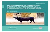 TRANSFORMACIÓN DE SUBPRODUCTOS Y RESIDUOS ......Transformación de subproductos y residuos de agroindustria de cultivos templados, subtropicales y tropicales en carne y leche bovina