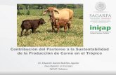 Contribución del Pastoreo a la Sustentabilidad de la Producción … · 2021. 7. 23. · Manejo del Animal. Entonces: Un Pastoreo Adecuado, es cuando se logran los dos propósitos