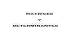Matrices y Determinantes - CVG...Matriz identidad Sea A = (ai j ) una matriz n-cuadrada.La diagonal (o diagonal principal) de A consiste en los elementos a11, a22, ..., ann.La traza