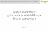 Mapeo, monitoreo y gobernanza forestal del Bosque Seco ...repositorio.serfor.gob.pe/bitstream/SERFOR/722/4/2 Mapeo...Definición de Bosque Seco 2. Definir las fuentes de información