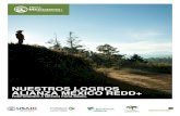 NUESTROS LOGROS ALIANZA MÉXICO REDD+ · 2019. 10. 2. · • Promover paisajes bioculturales mayas en más de cinco millones de hectáreas • Igualar los recursos obtenidos de fuentes