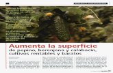cultivos rentables y baratos...Superficie de cultivos hortícolas protegidos en Almería. Producto Hectáreas Superficie media 2008 04/07 Sandía 4.775 4.827 Melón 4.981 5.057 Calabacín