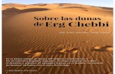 E r g Ch e b b i S o b r e las d u n as d e Chebbi.pdfS o b r e las d u n as d e E r g Ch e b b i 325 ',$1$ 6$1-,1e6 < 0$5& *$/9¡1 Es el único campo de dunas del Sahara en Marruecos.