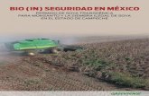 BIO (IN) SEGURIDAD EN MÉXICO - Greenpeace...2 BIO IN SEGURIDAD EN MÉXICO 1. ANTECEDENTES En el año 2012, la empresa Monsanto Comercial, S.A. de C.V. solicitó un permiso a la Secretaría