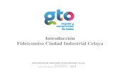 Introducción Fideicomiso Ciudad Industrial Celayatransparencia.guanajuato.gob.mx/biblioteca_digital/... · 2015. 7. 18. · Propiedad de Celaya, Guanajuato, bajo Folio Real R7*25296.
