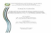 UNIVERSIDAD NACIONAL AGRARIA - CORE · 2020. 1. 27. · Grupo de Abonos Orgánicos de la Universidad Nacional Agraria. ... De acuerdo con Bellorín (1993) en Nicaragua la producción