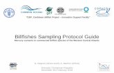 Billfishes Sampling Protocol Guide - Cooperativa ALVEO...Istituto Zooprofilattico delle Venezie – Laboratorio di Chimica. - Viale Università, 10 – 35020 Legnaro (PD) ITALY Tel.