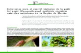 Estrategias para el control biológico de la psila del peral … · 2017. 7. 5. · Estrategias para el control biológico de la psila del peral (Cacopsylla pyri) mediante enemigos