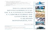 DECLARACION AMBIENTAL EJ 2017 revisada - Soningeo...2019/09/08  · abastecimientos, cerramientos, instalaciones). Página 5 de 78 Declaración Medioambiental 2. BREVE PRESENTACIÓN