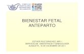 BIENESTAR FETAL ANTEPARTO · 2014. 2. 3. · Test basal no estresante Protocolo SEGO Bienestar fetal anteparto. Test basal no estresante • A tener en cuenta: • Edad gestacional